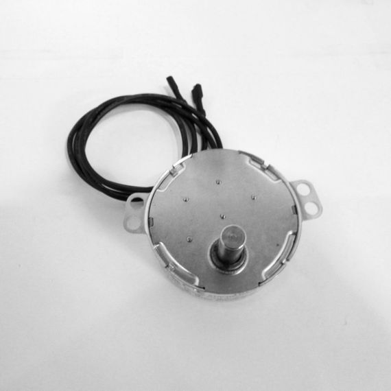 MotorBubbletron TYC50 230V 5/6RPM Picture