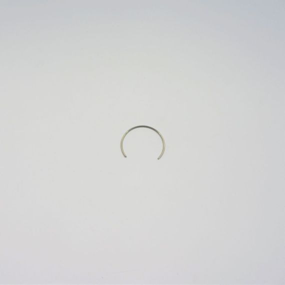 FresnelLensSpring Starburst Picture