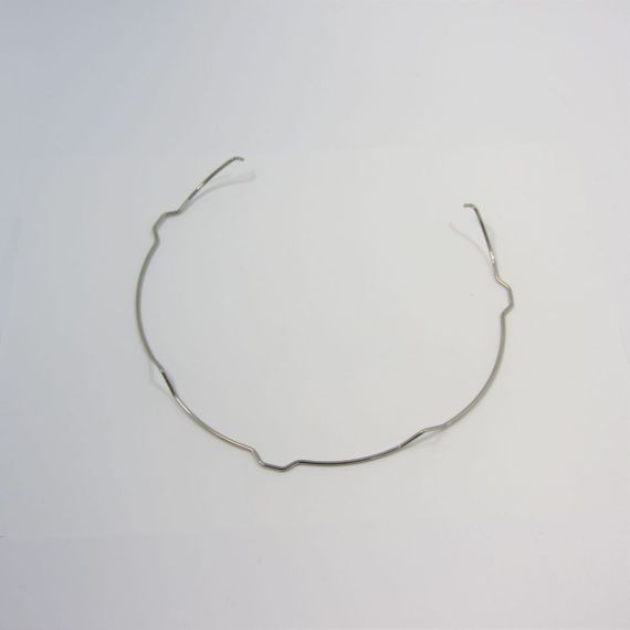 $SpringLens CobCannonWashPearlST Picture