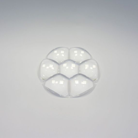 FrontLens FocusFlex+L7EncoreZ7LP Picture