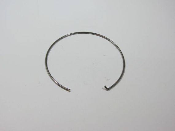 RetainingRing EncoreFr20DtwWhite Picture