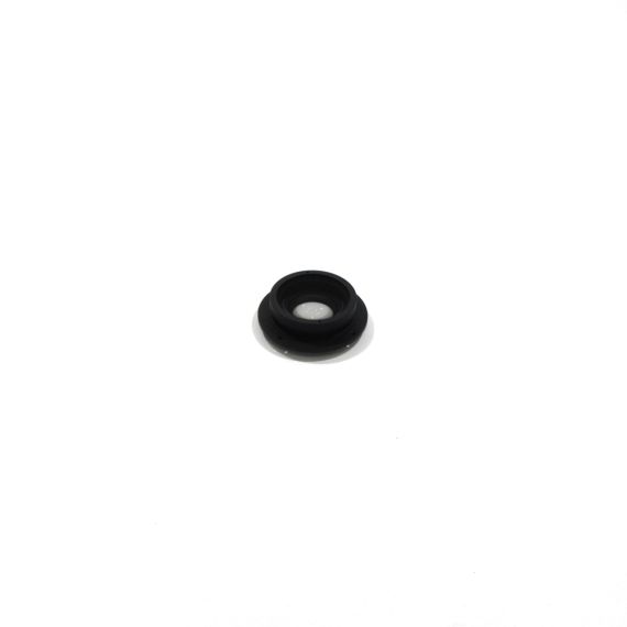 ZoomLens FocusHybrid Picture