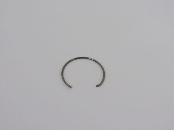 FocusProfile Gobo Spring Picture