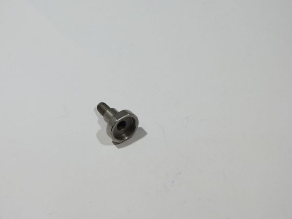 Zoommotor shaft fixing Focus Flex L19 Picture