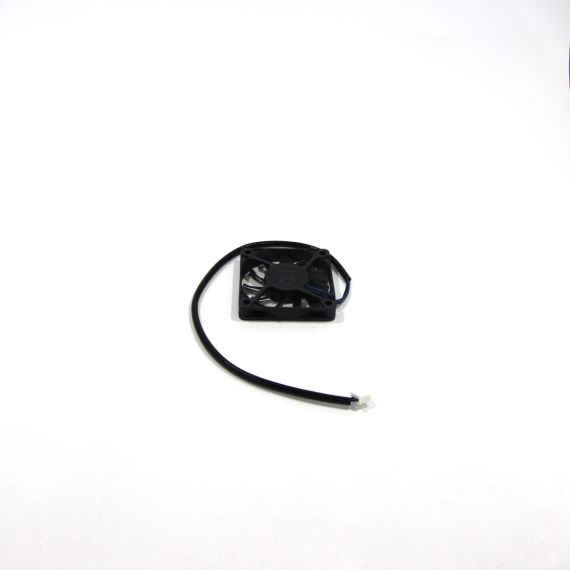 Fan Base Focus Picture