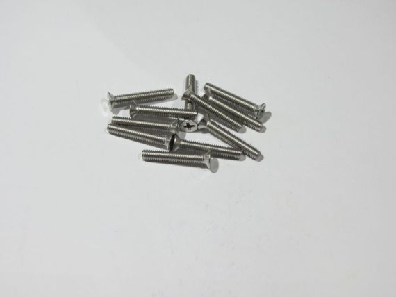 Set of 10x M4x25 stainless steel Picture